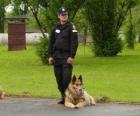 Полицейский с его полицейская собака